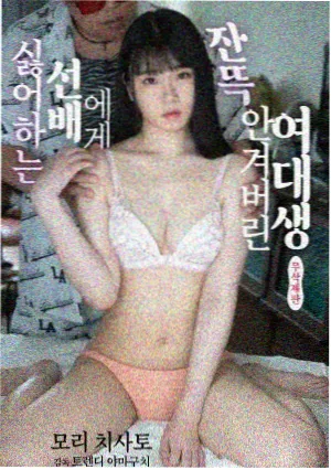剧集夜航西飞封面
